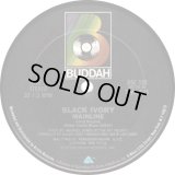 Black Ivory - Mainline/Dance  12"