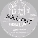 Edwin Birdsong - Perfect Love'n  12" 
