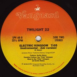 画像2: Twilight 22 - Electric Kingdom (2Vers)  12"