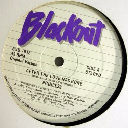 画像1: Princess - After The Love Has Gone  12"