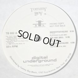 画像1: Digital Underground - Doowutchyalike/Hip Hop Doll  12" 