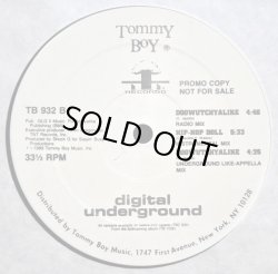 画像2: Digital Underground - Doowutchyalike/Hip Hop Doll  12" 