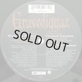 Gravediggaz - Diary Of A Madman/Constant Elevation 12"