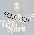Carleen Anderson (of Young Disciples) - True Spirit  12"