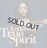 Carleen Anderson - True Spirit  12"