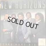 New Horizons - Gonna Have Big Fun  LP 