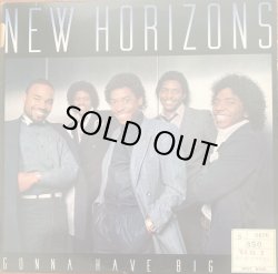 画像1: New Horizons - Gonna Have Big Fun  LP 