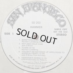 画像2: Hammer - S/T  LP