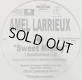 Amel Larrieux - Sweet Misery (Stretch-Rush Remix/Hit District Remix)  12"