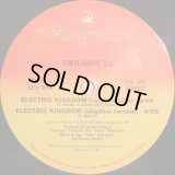 Twilight 22 - Electric Kingdom (4Vers) 12"