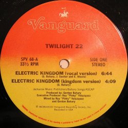 画像1: Twilight 22 - Electric Kingdom (4Vers) 12"
