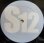 画像2: Mantronix - Got To Have Your Love/King Of The Beats  12" (2)