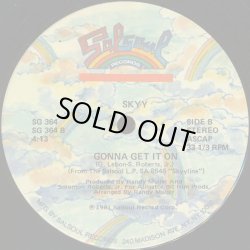 画像2: Skyy - Let's Celebrate/Gonna Get It On  12"