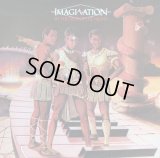 Imagination - In The Heat Of The Night  LP
