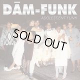 Dam-Funk - Adolescent Funk  2LP