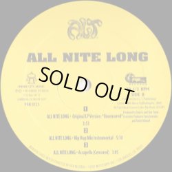 画像2: A.L.T. - All Nite Long  12"