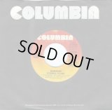 Bangles - Eternal Flame/What I Meant To Say 7" 