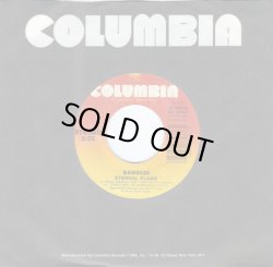 画像1: Bangles - Eternal Flame/What I Meant To Say 7" 