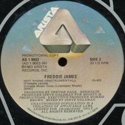 画像2: Freddie James - Hot Thing  12"