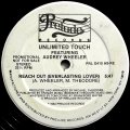 Unlimited Touch Featuring Audrey Wheeler - Reach Out (Everlasting Lover)  12" 