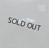 Mary J. Blige - Love Is All We Need  12"