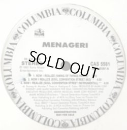 画像1: Menageri - Now I Realize (6Vers Promo)  12" 