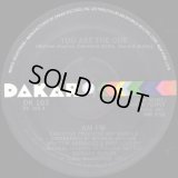 AM-FM  -  You Are The One  12"