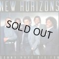 New Horizons - Gonna Have Big Fun  LP 
