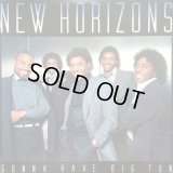 New Horizons - Gonna Have Big Fun  LP 