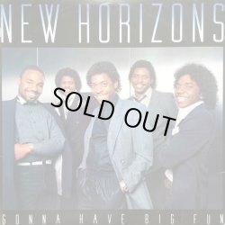 画像1: New Horizons - Gonna Have Big Fun  LP 