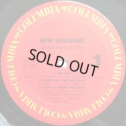 画像2: New Horizons - Gonna Have Big Fun  LP 