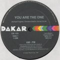 AM-FM  -  You Are The One  12"