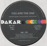 AM-FM  -  You Are The One  12"