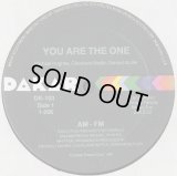 AM-FM  -  You Are The One  12"