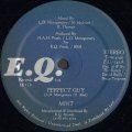 Mint - Perfect Guy  12"