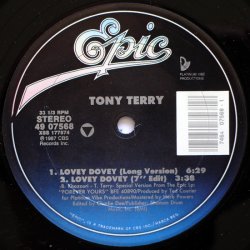 画像1: Tony Terry - Lovey Dovey  12"