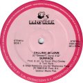 Surface/Rafael Cameron - Falling In Love/Desires 12"