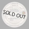 Sounds Of Blackness - I Believe  12"