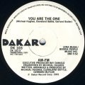 AM-FM  -  You Are The One  12"