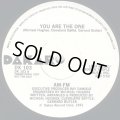 AM-FM  -  You Are The One  12"