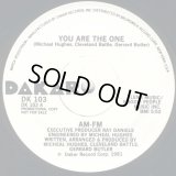 AM-FM  -  You Are The One  12"