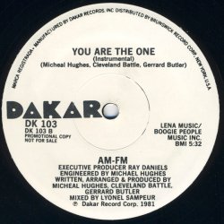 画像2: AM-FM  -  You Are The One  12"