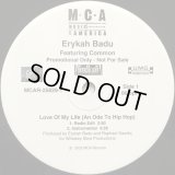 Erykah Badu feat Common - Love Of My Life (An Ode To Hip Hop)  12"