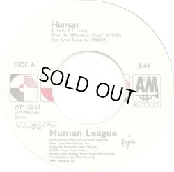 画像1: Human League - Human 7"