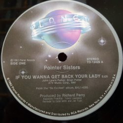 画像2: Pointer Sisters - If You Wanna Get Back Your Lady/I'm So Excited  12"