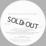 Bobby Nunn - Private Party  12" 