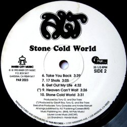 画像2: A.L.T - Stone Cold World   LP