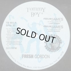 画像1: Fresh Gordon - Feelin' James/I Believe In Music    12"