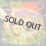 画像: Jungle Brothers - Done By The Forces Of Nature  LP