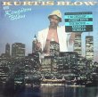 画像1: Kurtis Blow - Kingdom Blow  LP